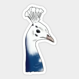 Leucistic Peacock Head Sticker